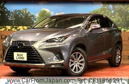 lexus nx 2019 CFJ1866291