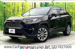 toyota rav4 2019 CFJ1827000