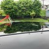 toyota esquire 2016 -TOYOTA--Esquire DBA-ZRR80G--ZRR80-0242882---TOYOTA--Esquire DBA-ZRR80G--ZRR80-0242882- image 10