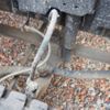isuzu forward 2017 CFJ1745849 image 18