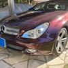 mercedes-benz cls-class 2009 -MERCEDES-BENZ--Benz CLS DBA-219356C--WDD2193562A153302---MERCEDES-BENZ--Benz CLS DBA-219356C--WDD2193562A153302- image 1