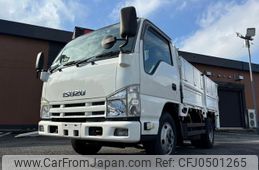 isuzu elf-truck 2011 GOO_NET_EXCHANGE_0401987A30241127W001