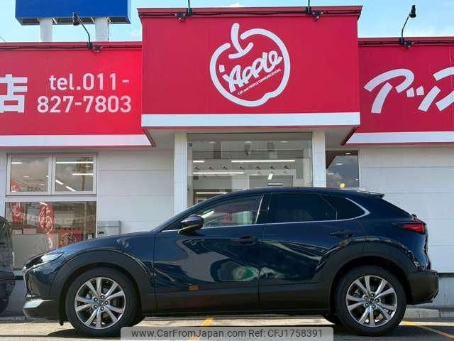 mazda cx-3 2019 CFJ1758391 image 2