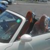 daihatsu copen 2006 CFJ1517633 image 25