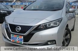nissan leaf 2019 CFJ1714515