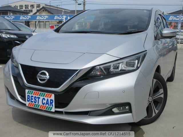 nissan leaf 2019 CFJ1714515 image 1