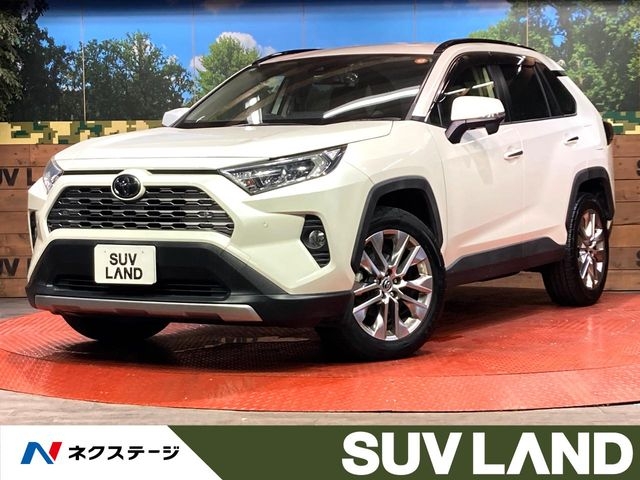 2020 Toyota Rav4 6BA-MXAA54 4WD - Car Price $20,208