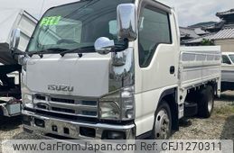 isuzu elf-truck 2008 GOO_NET_EXCHANGE_1301261A30250527W009