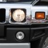 hummer hummer-others 2008 CFJ1858793 image 18