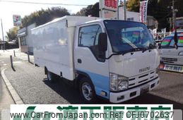 isuzu elf-truck 2010 GOO_NET_EXCHANGE_0510006A30250130W001