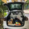tesla tesla-modely 2022 CFJ1674010 image 6