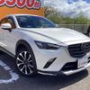 mazda cx-3 2019 quick_quick_DKEFW_DKEFW-208713 image 13