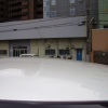 toyota wish 2003 SH-15 image 7