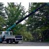 isuzu elf-truck 2000 CFJ1529801 image 41