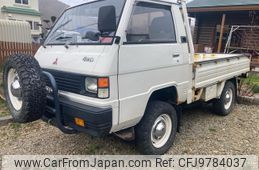 mitsubishi delica-truck 1993 GOO_NET_EXCHANGE_0301979A30240511W001