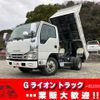 isuzu elf-truck 2019 GOO_NET_EXCHANGE_0730233A30250213W007 image 1