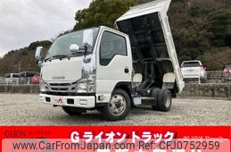 isuzu elf-truck 2019 GOO_NET_EXCHANGE_0730233A30250213W007