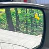 subaru levorg 2019 quick_quick_VM4_VM4-128933 image 6