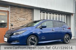 nissan leaf 2022 CFJ1539014