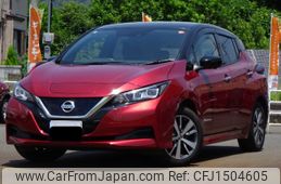nissan leaf 2019 CFJ1504605