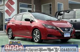 nissan leaf 2020 GOO_JP_700060017330241111012