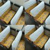 toyota coaster 2008 -TOYOTA--Coaster BDG-XZB50--XZB50-0053382---TOYOTA--Coaster BDG-XZB50--XZB50-0053382- image 24