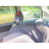toyota voxy 2009 CFJ1683944 image 15