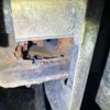 toyota land-cruiser 1996 -TOYOTA--Land Cruiser KC-HDJ81V--HDJ81-0068465---TOYOTA--Land Cruiser KC-HDJ81V--HDJ81-0068465- image 25