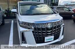 toyota alphard 2020 -TOYOTA--Alphard 3BA-AGH30W--AGH30-0308796---TOYOTA--Alphard 3BA-AGH30W--AGH30-0308796-