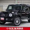 mercedes-benz g-class 2021 quick_quick_463349_W1N4633492X406694 image 1