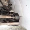 mercedes-benz amg 2022 -MERCEDES-BENZ--AMG 4BA-247651M--W1N2476512W176453---MERCEDES-BENZ--AMG 4BA-247651M--W1N2476512W176453- image 41