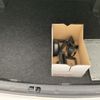 toyota corolla-axio 2022 YAMAKATSU_NZE161-7134647 image 12