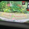 mazda atenza 2018 quick_quick_GJ2AW_GJ2AW-400387 image 3