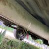 suzuki jimny 2000 -SUZUKI--Jimny TA-JB23W--JB23W-221289---SUZUKI--Jimny TA-JB23W--JB23W-221289- image 11