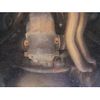 bmw 3-series 2003 -BMW 【千葉 346の50】--BMW 3 Series AV30-ET56040NH46519---BMW 【千葉 346の50】--BMW 3 Series AV30-ET56040NH46519- image 14