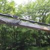 mitsubishi-fuso fighter 2008 CFJ1278635 image 22