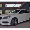 mercedes-benz a-class 2013 -MERCEDES-BENZ--Benz A Class DBA-176042--WDD1760422J098384---MERCEDES-BENZ--Benz A Class DBA-176042--WDD1760422J098384- image 1