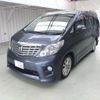 toyota alphard 2010 ENHANCEAUTO_1_ea289971 image 7