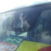 daihatsu move-canbus 2016 CFJ1729450 image 14