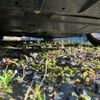mercedes-benz cla-class 2017 -MERCEDES-BENZ--Benz CLA DBA-117942--WDD1179422N597064---MERCEDES-BENZ--Benz CLA DBA-117942--WDD1179422N597064- image 2