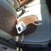 suzuki alto-lapin 2014 -SUZUKI--Alto Lapin DBA-HE22S--HE22S-843210---SUZUKI--Alto Lapin DBA-HE22S--HE22S-843210- image 13