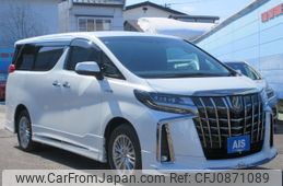toyota alphard 2020 -TOYOTA 【名変中 】--Alphard AYH30W--0111124---TOYOTA 【名変中 】--Alphard AYH30W--0111124-