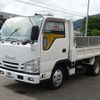 isuzu elf-truck 2017 CFJ1507326 image 12
