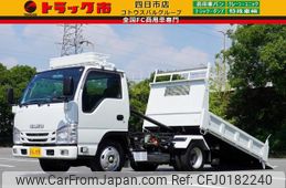 isuzu elf-truck 2019 GOO_NET_EXCHANGE_0208594A30240811W001