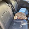 nissan serena 2011 CFJ1838446 image 22