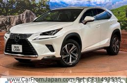 lexus nx 2018 CFJ1493535