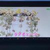 suzuki jimny-sierra 2023 quick_quick_3BA-JB74W_JB74W-204130 image 12