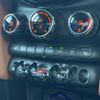 mini mini-others 2017 CFJ1579849 image 4
