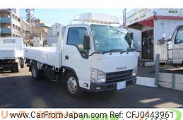 isuzu elf-truck 2010 GOO_NET_EXCHANGE_0520179A30241113W001