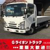 isuzu elf-truck 2019 GOO_NET_EXCHANGE_0702476A30241031W002 image 1